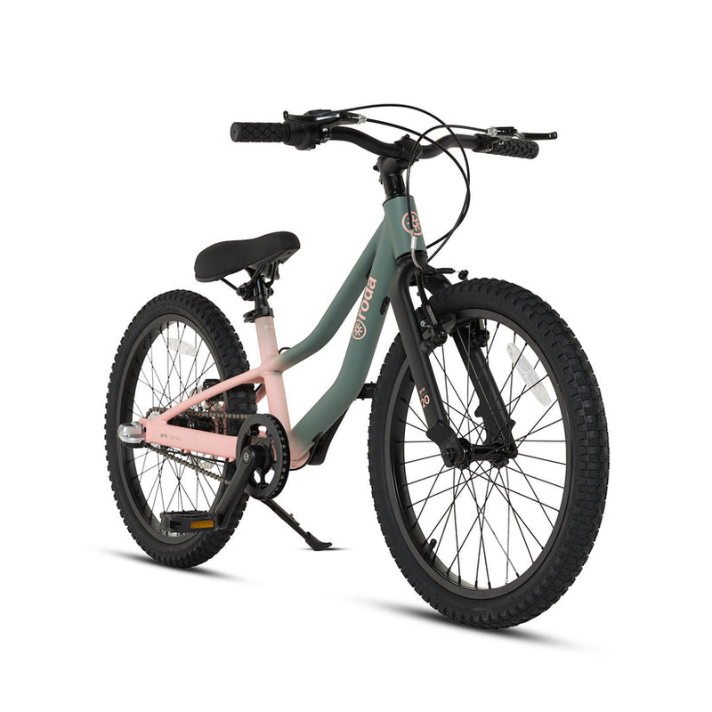 Bicicleta Roda Pro Sport Aro 20'' Pink